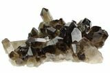 Dark Smoky Quartz Crystal Cluster - Brazil #124603-1
